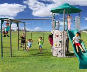 outdoor playsets with monkey bars